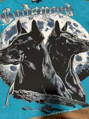 Double Doberman Pinscher Full Moon Lake Blue Distressed Short-Sleeve T-Shirt 29053396