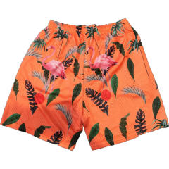 EE Eric Emanuel Flamingo Shorts 3 Colors