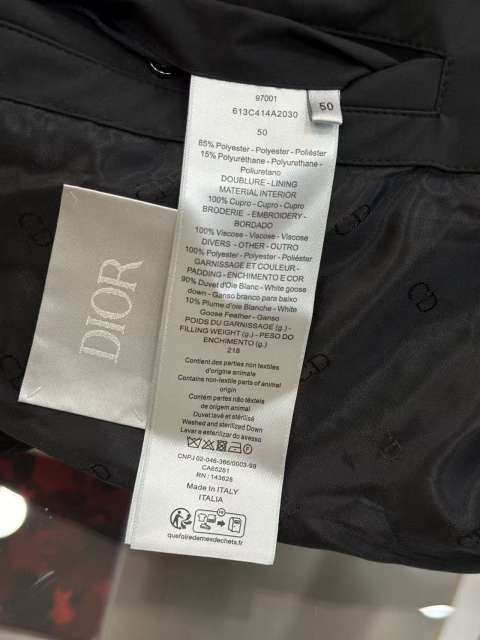 1:1 quality version CD Embroidered Logo Hooded Quilted Down Jacket 2 colors 29481998