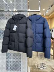 1:1 quality version CD Embroidered Logo Hooded Quilted Down Jacket 2 colors 29481998