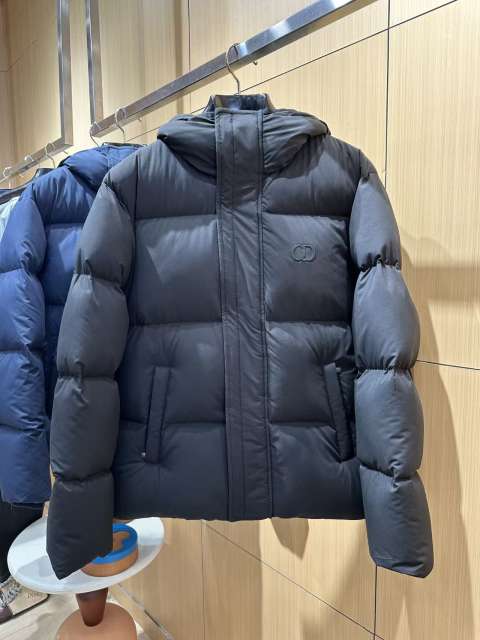 1:1 quality version CD Embroidered Logo Hooded Quilted Down Jacket 2 colors 29481998