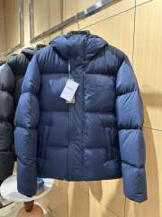 1:1 quality version CD Embroidered Logo Hooded Quilted Down Jacket 2 colors 29481998