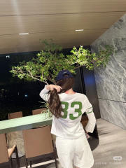 1:1 quality version Number Horseshoe Print Color Block Thin Breathable 3/4 Sleeve Long Sleeve T-Shirt  3 colors for girls 29380260