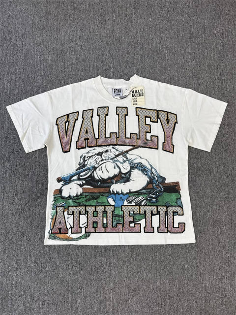 High Quality Vale Forever Valley Athletic Bulldog Vintage Washed T-Shirt