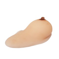 Female Breast Demonstration Model for Teaching, Beige