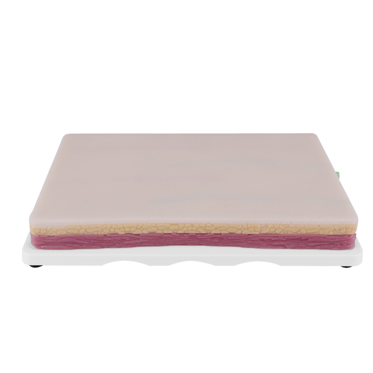 Large Venipuncture IV Injection Practice Pad with 4 Veins on Base