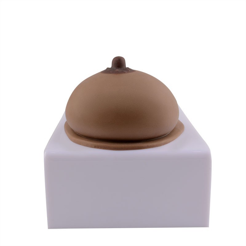 Silicone Breast Model for Education, Dark Brown