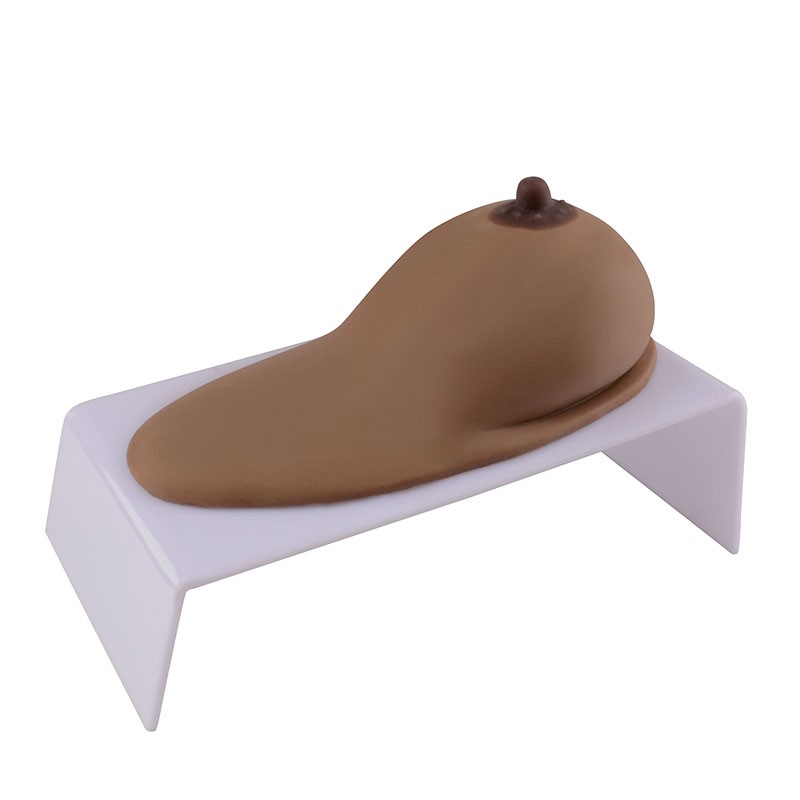 Silicone Breast Model for Education, Dark Brown