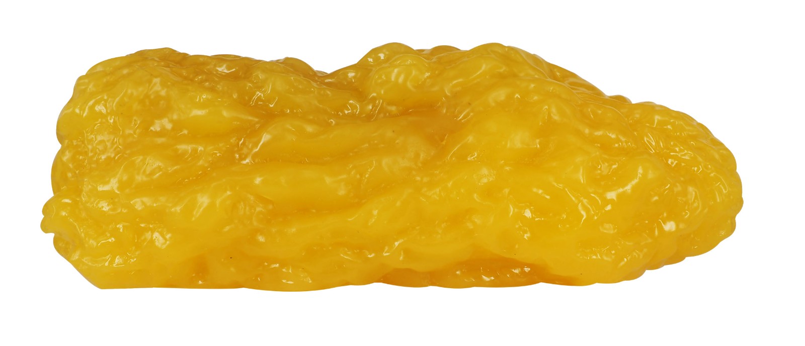 Wholesale 7.5lb Fat Replica Model, Rectangle for Teaching