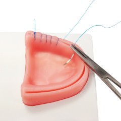 Dental Suture Practice Kit with Pad & Tools & Storage Case