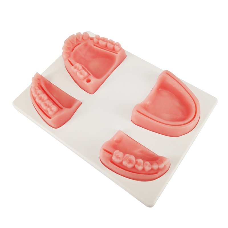 Dental Suture Pad(4 Types) for Schools and Dentists