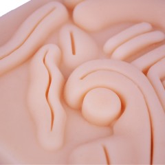 Ultralarge Abdominal Cavity Silicone Simulation Pad