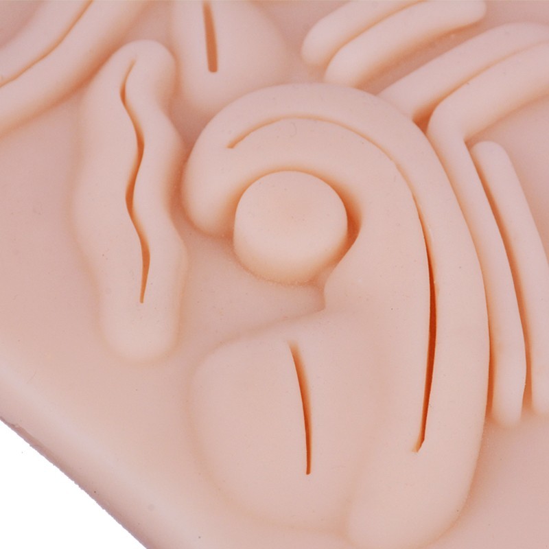 Ultralarge Abdominal Cavity Silicone Simulation Pad