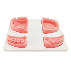 Dental Suture Pad(4 Types) for Schools and Dentists