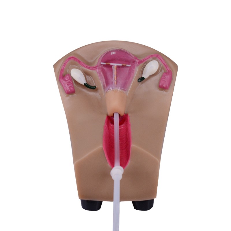 IUD Training Simulator for IUD Insertion Training