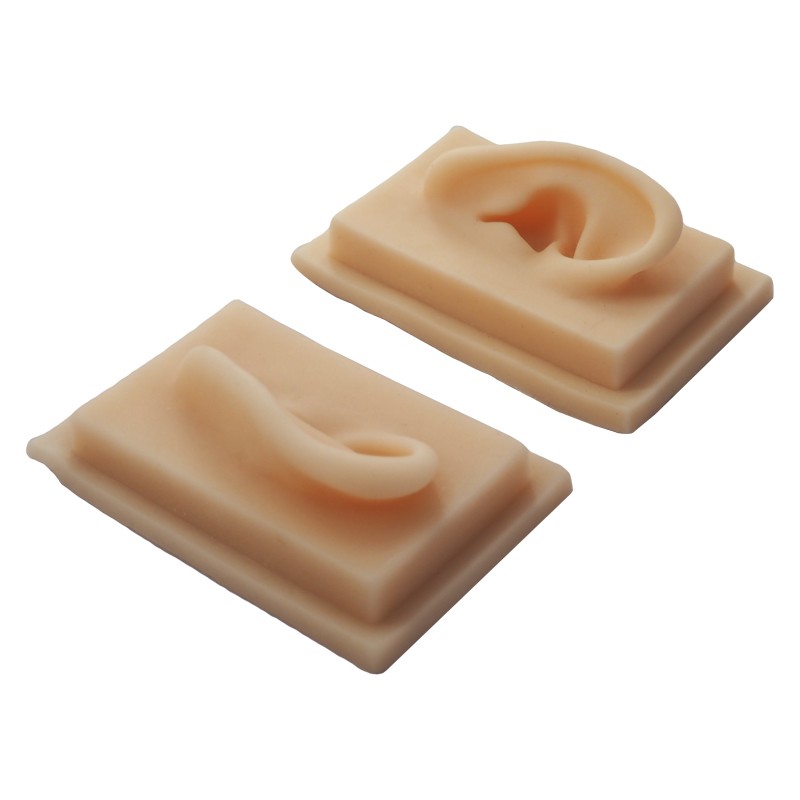 Silicone Ear Model