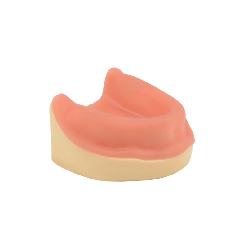 Maxillary Edentulous Model for Dental Implant Training