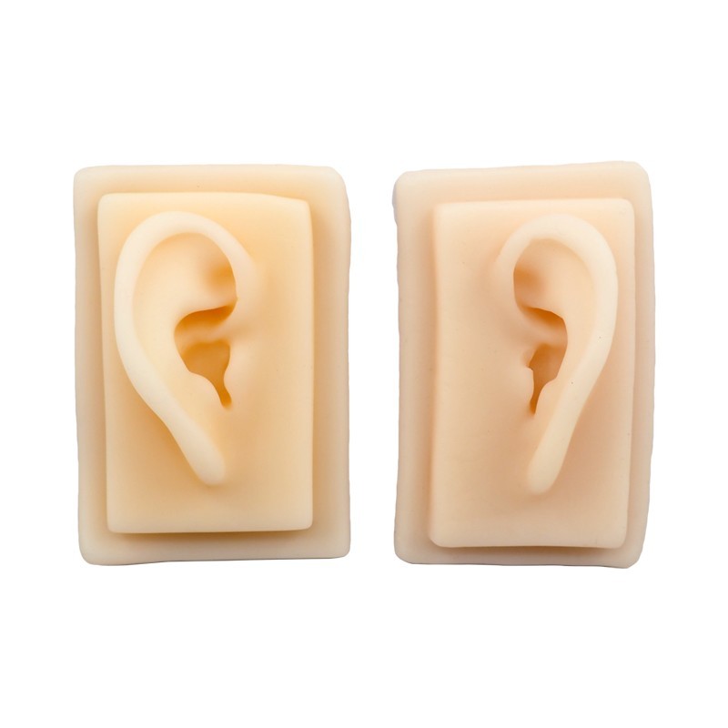 Silicone Ear Model