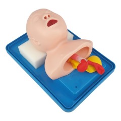 Advanced Infant Tracheal Intubation Training & Teaching Model