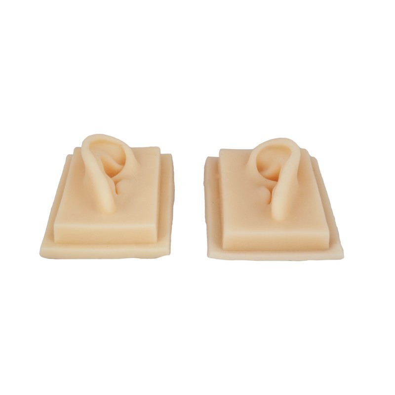 Silicone Ear Model