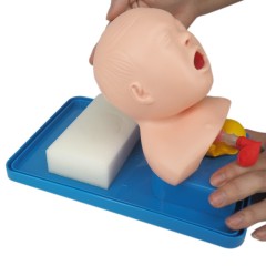 Advanced Infant Tracheal Intubation Training & Teaching Model