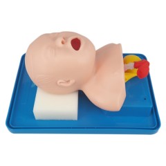 Advanced Infant Tracheal Intubation Training & Teaching Model