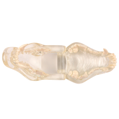 Canine Dental Model - Transparent Dog Jaw Bone, Veterinary Teaching