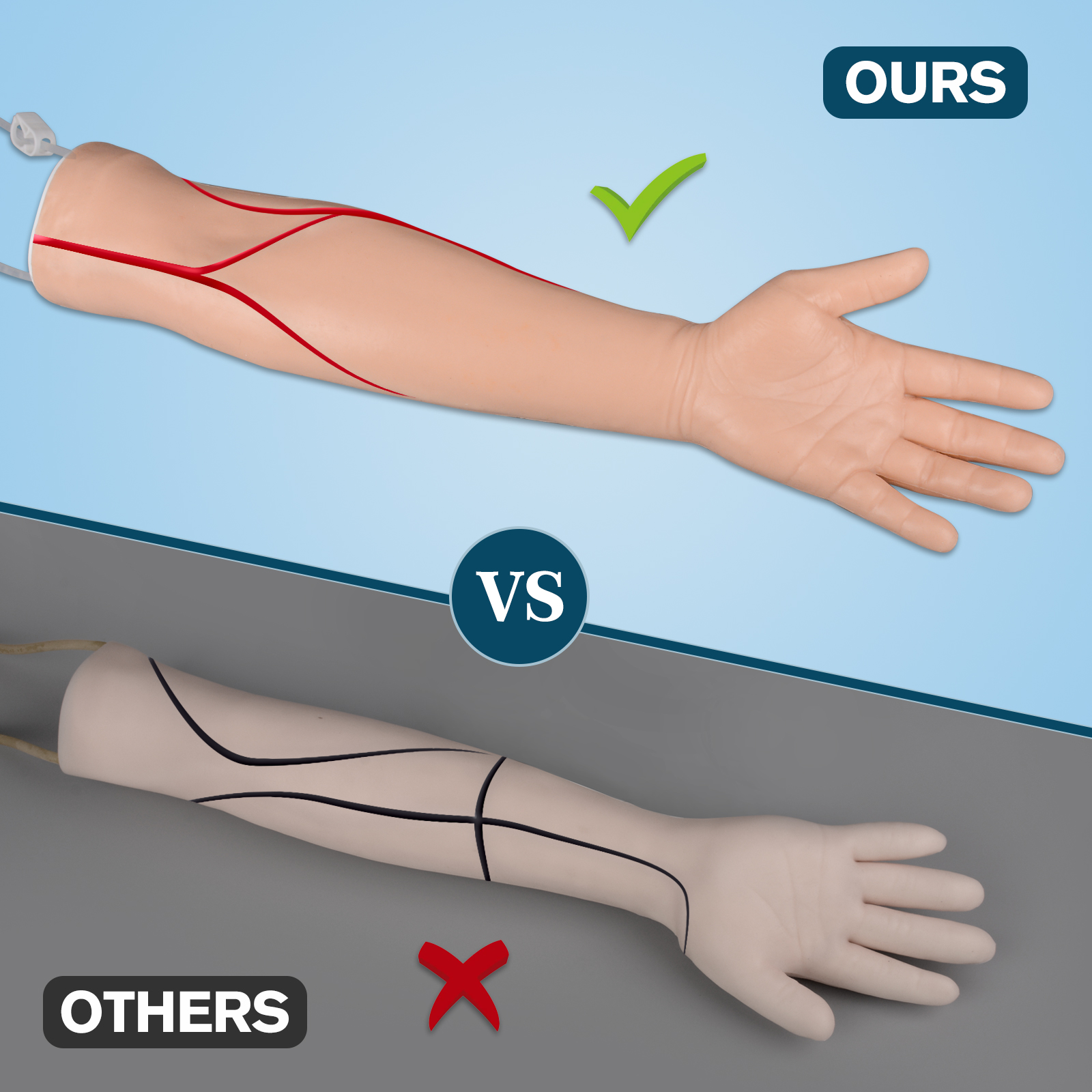 Multi Venous IV & Phlebotomy Practice Arm and Hand Kit