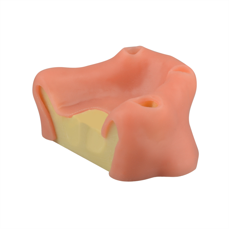 Maxillary Sinus Lift Dental Implant Practice Mode A