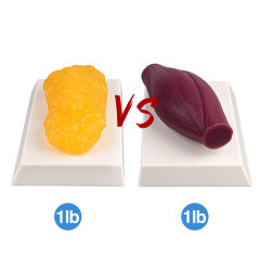 1lb Fat vs 1lb Muscle on Base, Rectangle Replica