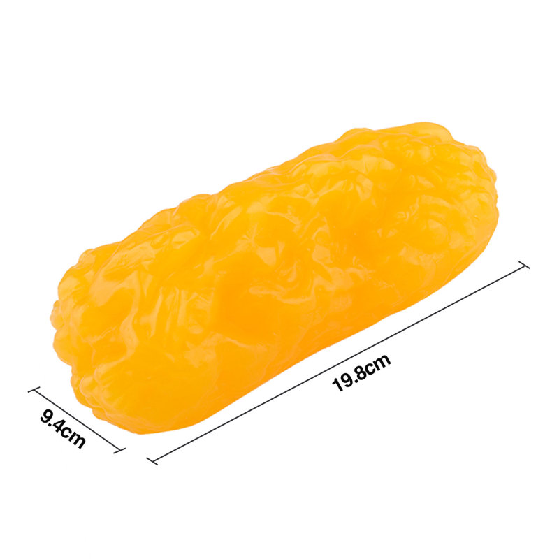 1lb Fat vs 1lb Muscle on Base, Rectangle Replica