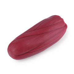 5lb Muscle Replica for Fitness Reminder & Education