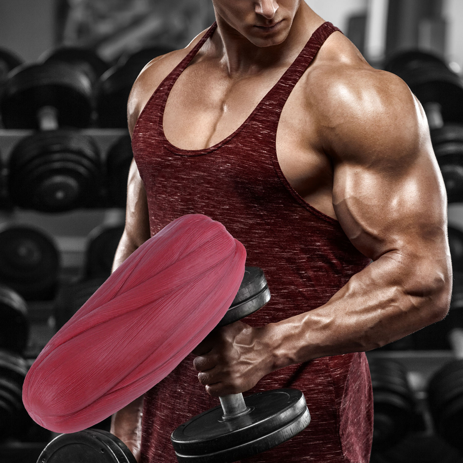 5lb Muscle Replica for Fitness Reminder & Education