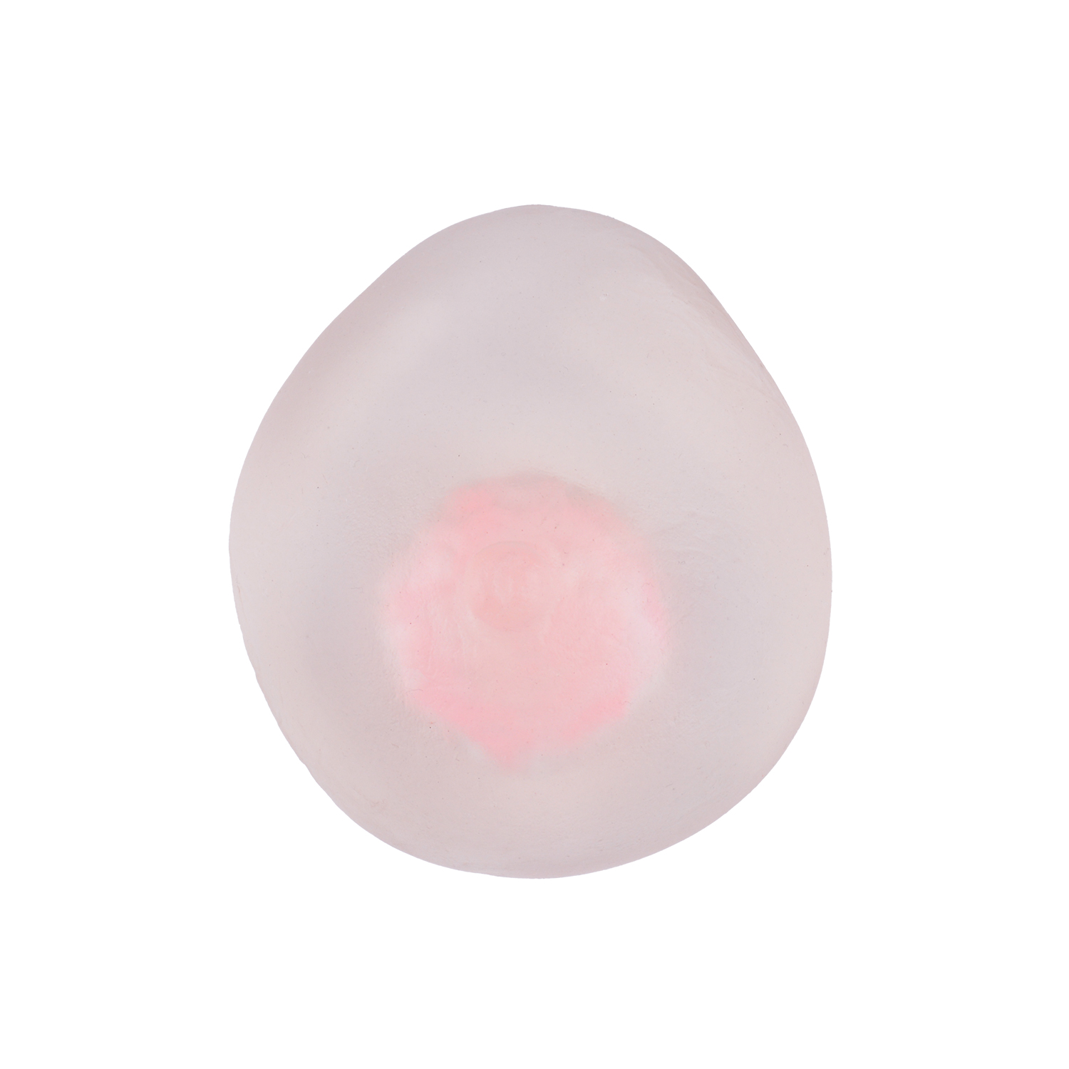 Female Fibroadenoma Breast Model for Education