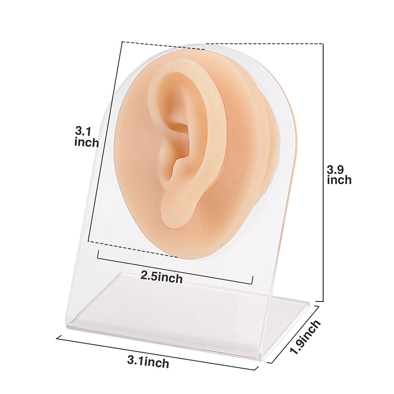 Piercing Silicone Ear Practice Model with Display Stand