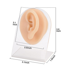 Piercing Silicone Ear Practice Model with Display Stand