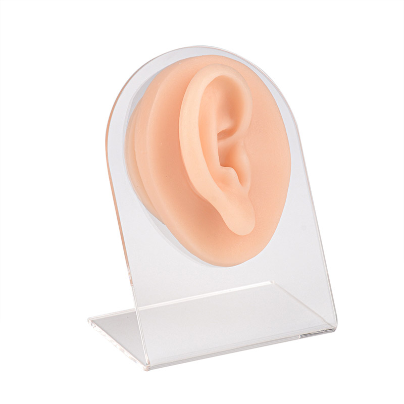 Piercing Silicone Ear Practice Model with Display Stand