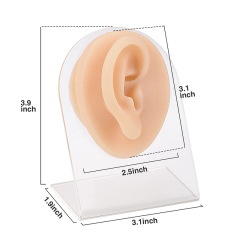 Piercing Silicone Ear Practice Model with Display Stand