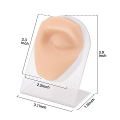 Silicone Eyebrow Piercing Practice Model with Display Stand