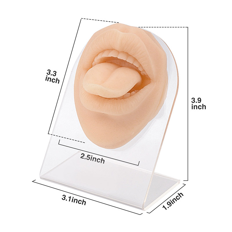 Silicone Mouth Tongue Model, High Elasticity Easy Operation Tongue Puncture  Practice Tool for Lips Nails Exercises(White)