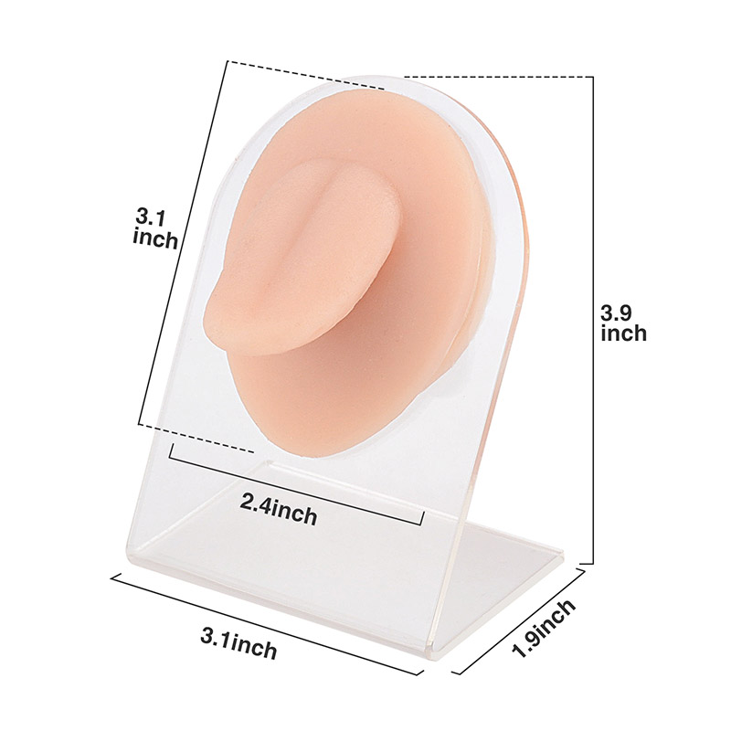 Silicone Tongue Model for Piercing & Acupuncture & Demo