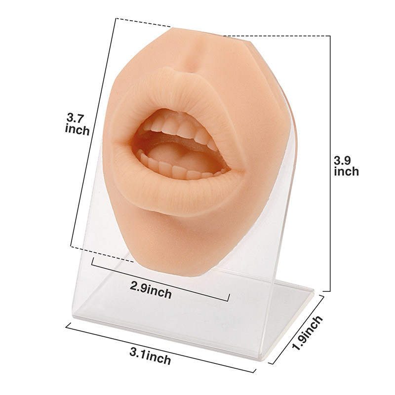 Silicone Simulation Human Mouth Lip Piercing Model with Stand