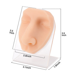 Silicone Nose Piercing & Display Model with Stand