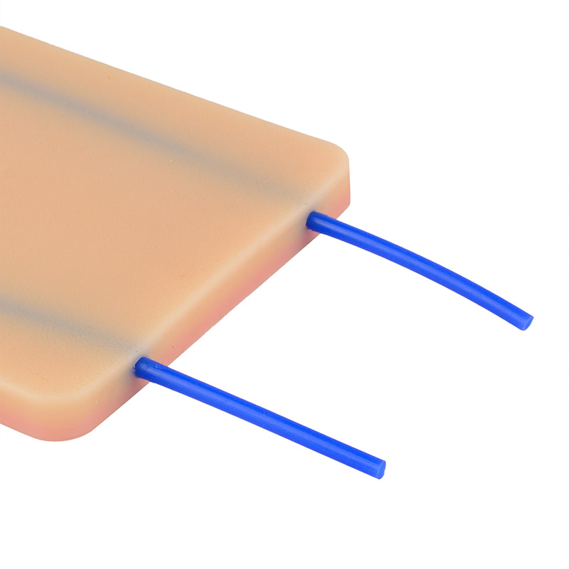 Venipuncture/Phlebotomy Practice Pad Model with Visible Vessel