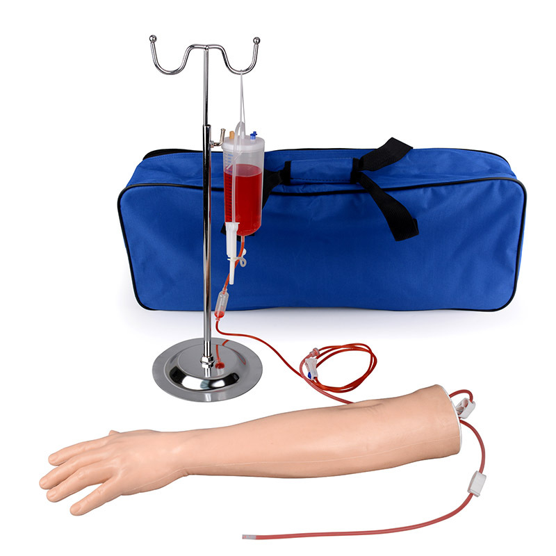 Multi Venous IV & Phlebotomy Practice Arm and Hand Kit
