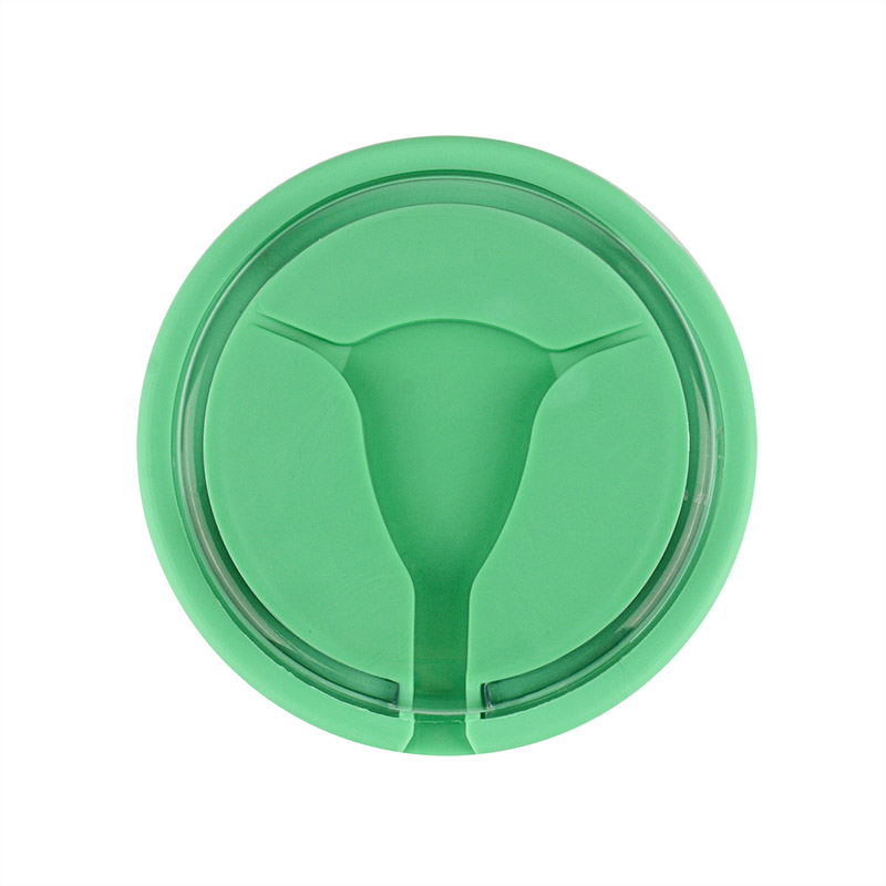 Pocket IUD Training Model for IUD Placement & Removal