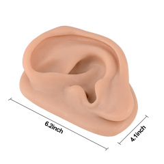 Silicone Acupuncture Ear Model for Teaching & Training