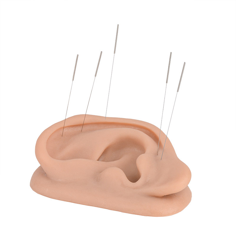 Silicone Acupuncture Ear Model for Teaching & Training