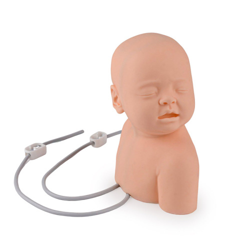 Infant Scalp Intravenous(IV) Injection Practice Model