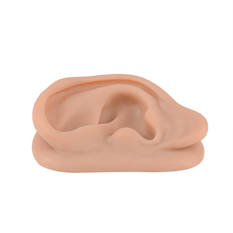 Silicone Acupuncture Ear Model for Teaching & Training